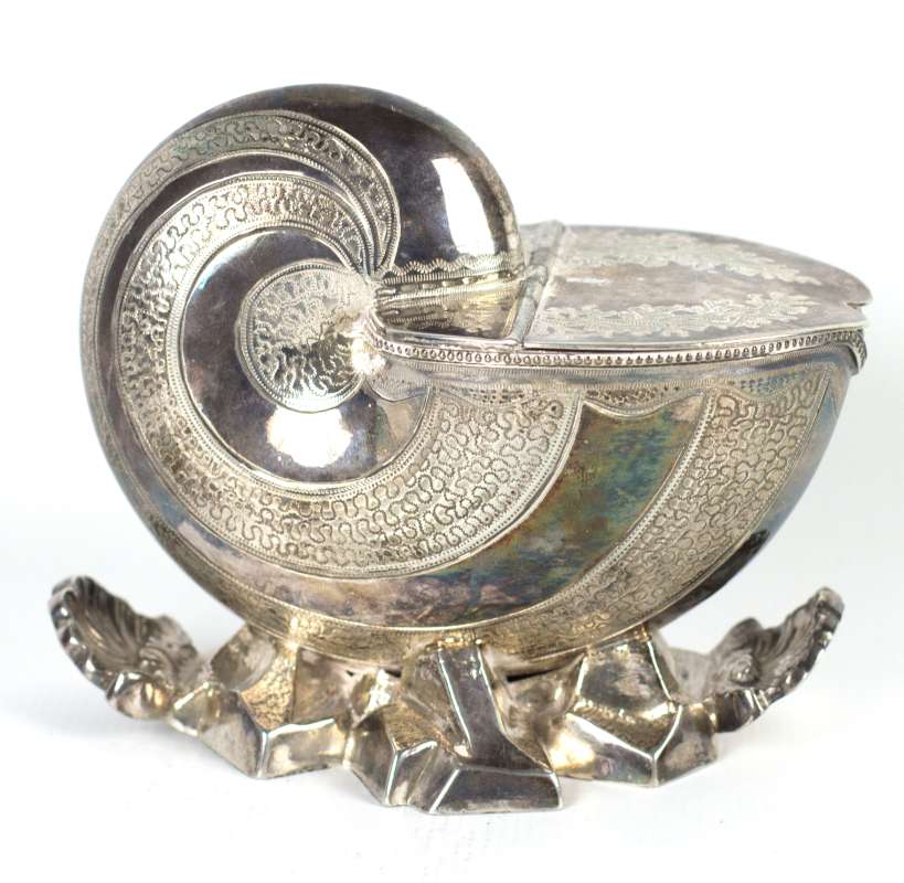 SILVER PLATED NAUTILUS SHELL SPOON WARMER C. 188O