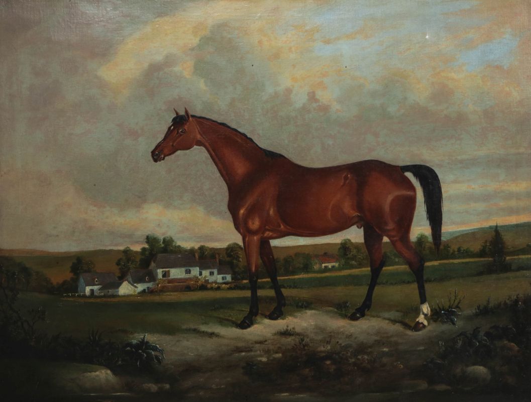 AN EARLY 19TH C BRITISH SCHOOL EQUINE PORTRAIT