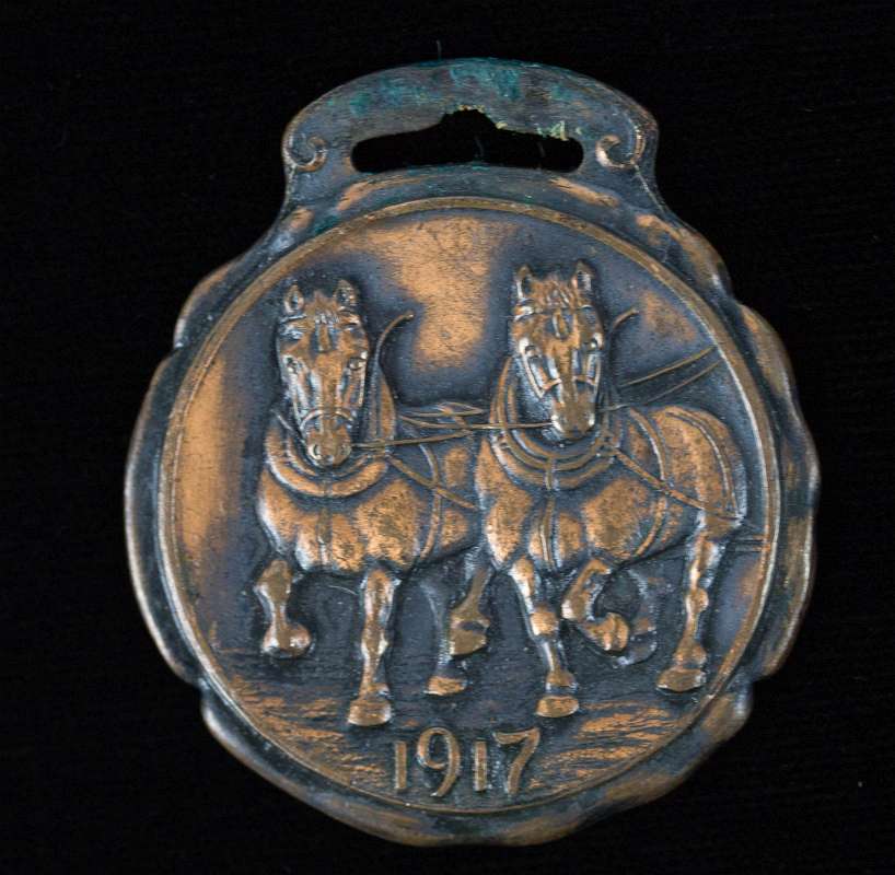 GRAND ISLAND (NEBRASKA) HORSE & MULE CO FOB, 1917