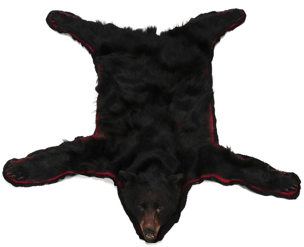 A VINTAGE BLACK BEAR BEARSKIN RUG 