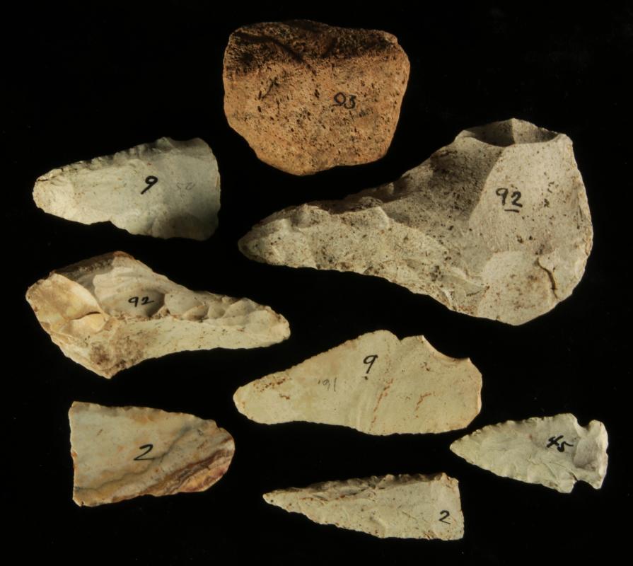 A COLLECTION OF NATIVE AMERICAN STONE ARTIFACTS