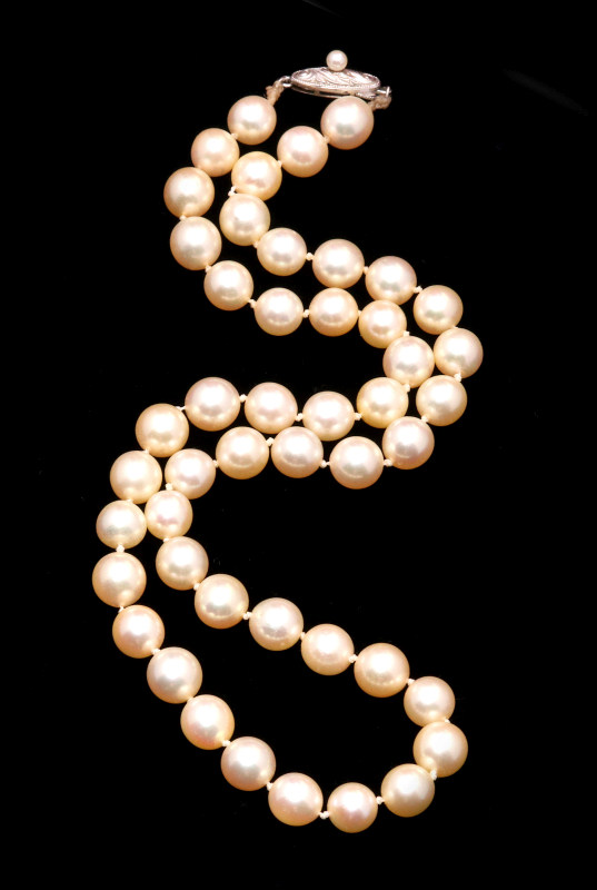 A CHOKER LENGTH STRAND OF CULTURED PEARLS