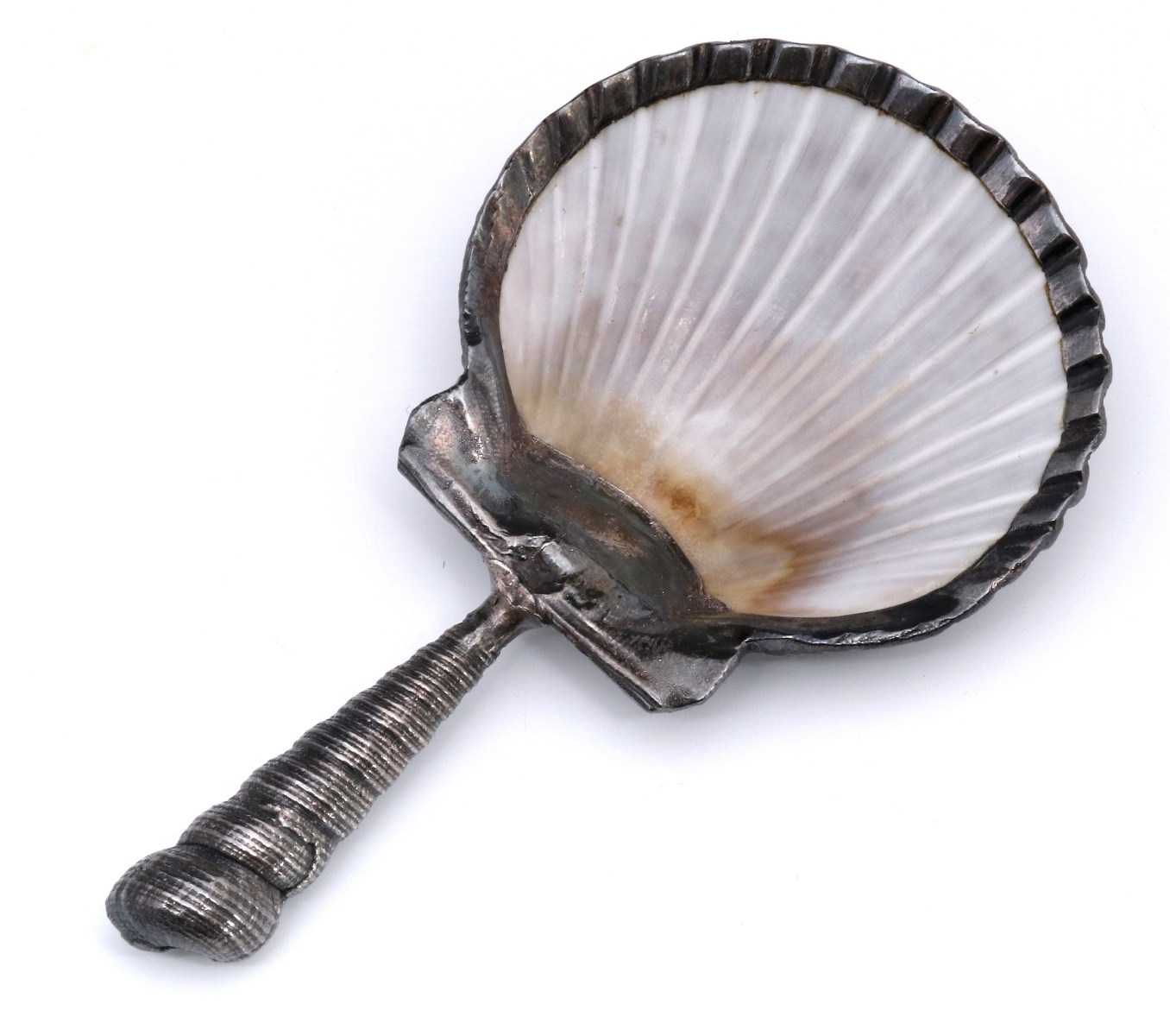A STERLING SILVER MOUNTED SEASHELL TEA CADDY SPOON