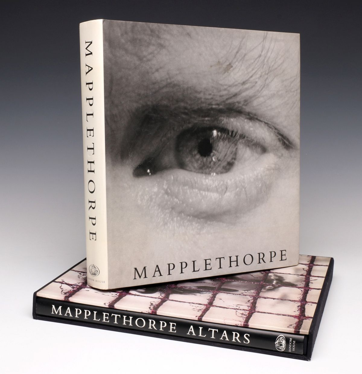 ROBERT MAPPLETHORPE LARGE FORMAT ILLUSTRATED BOOKS