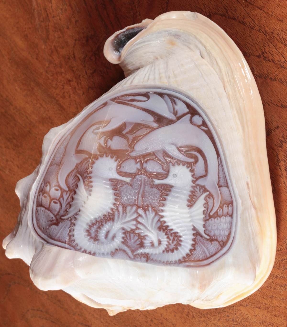 A CONCH SHELL CARVED SEA CREATURES IN CAMEO RELIEF