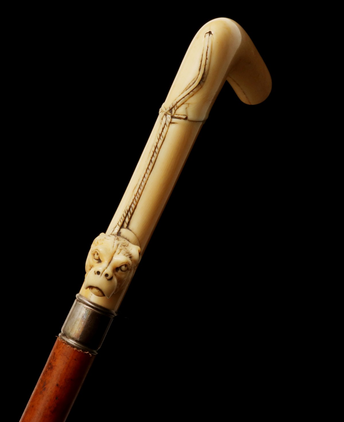 A 19TH CENT AMERICAN CROOK HANDLE CANE WITH DOG'S HEAD
