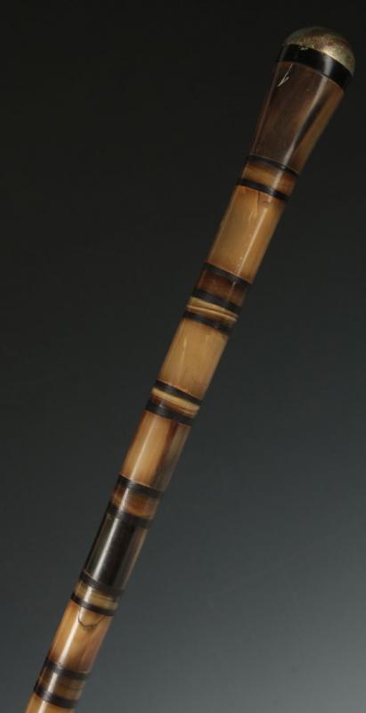 AN ANTIQUE MULTI-COLORED CARVED HORN WALKING STICK