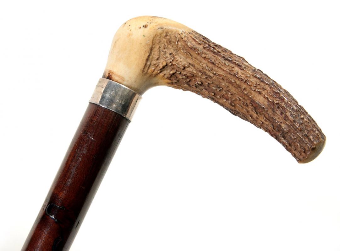 A CIRCA 1900 STAG HANDLE ROSEWOOD WALKING STICK