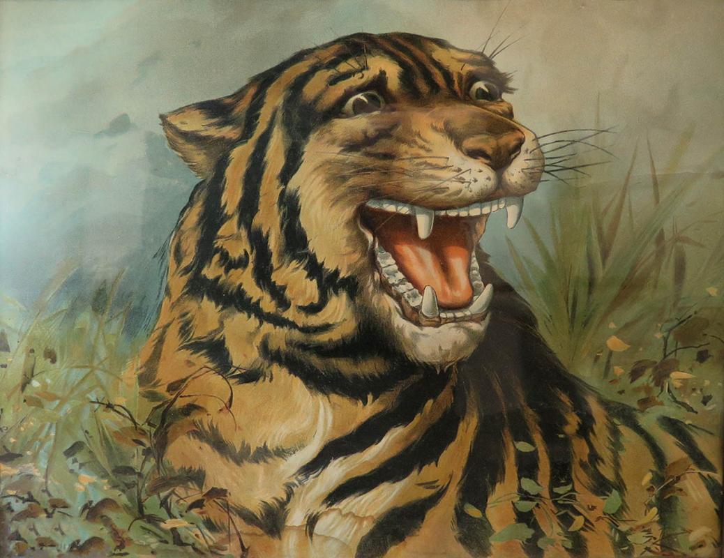 LATE 19TH C. CHROMOLITHOGRPAH OF A SNARLING TIGER